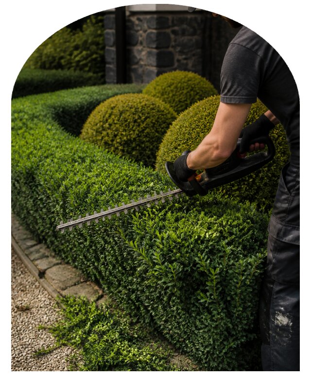 Профессиональная стрижка кустарников на участках в Чите